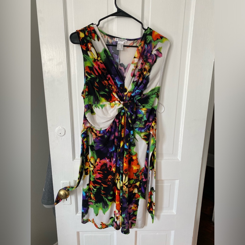 Venus Multi Color Dress
